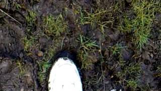 Lil Bit Of Walking