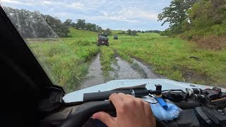 Cattle CHAOS! A "slow, rain day" on a Family Dairy Farm in southwest Wisconsin!