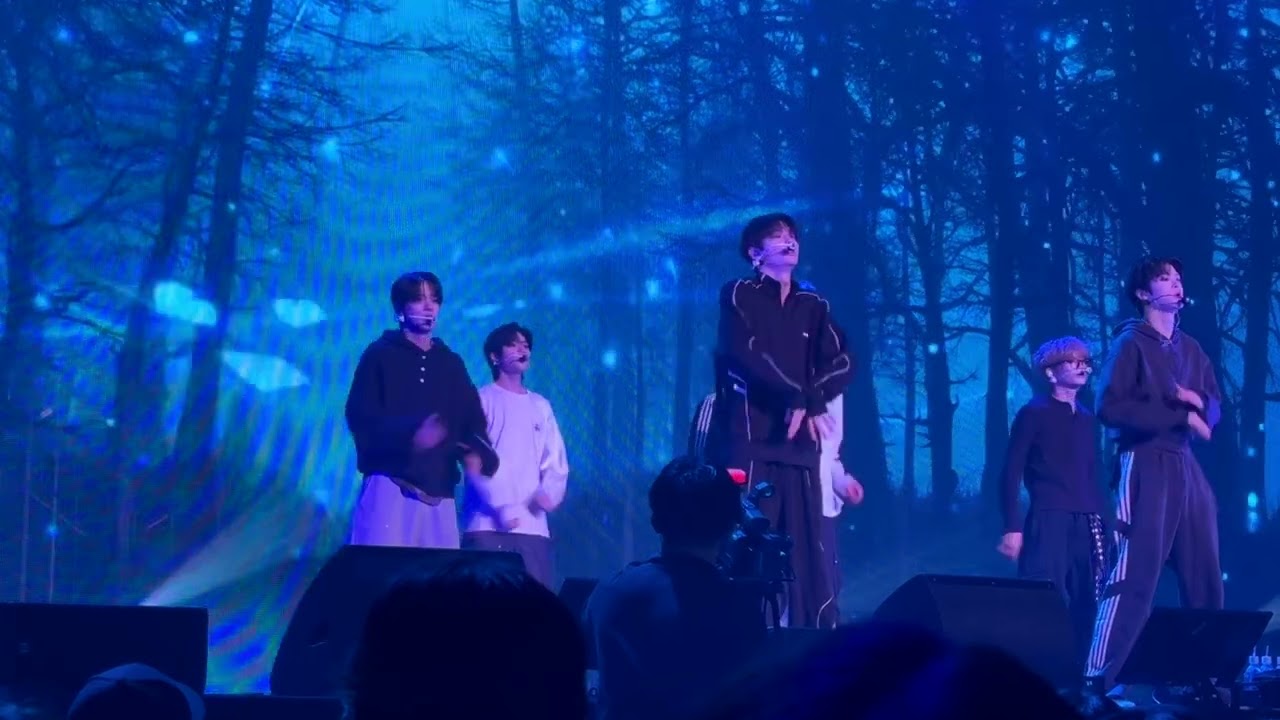 260211 TO THE WOODS CLOSE YOUR EYES