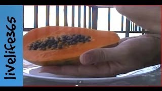 Why Eat Papaya?