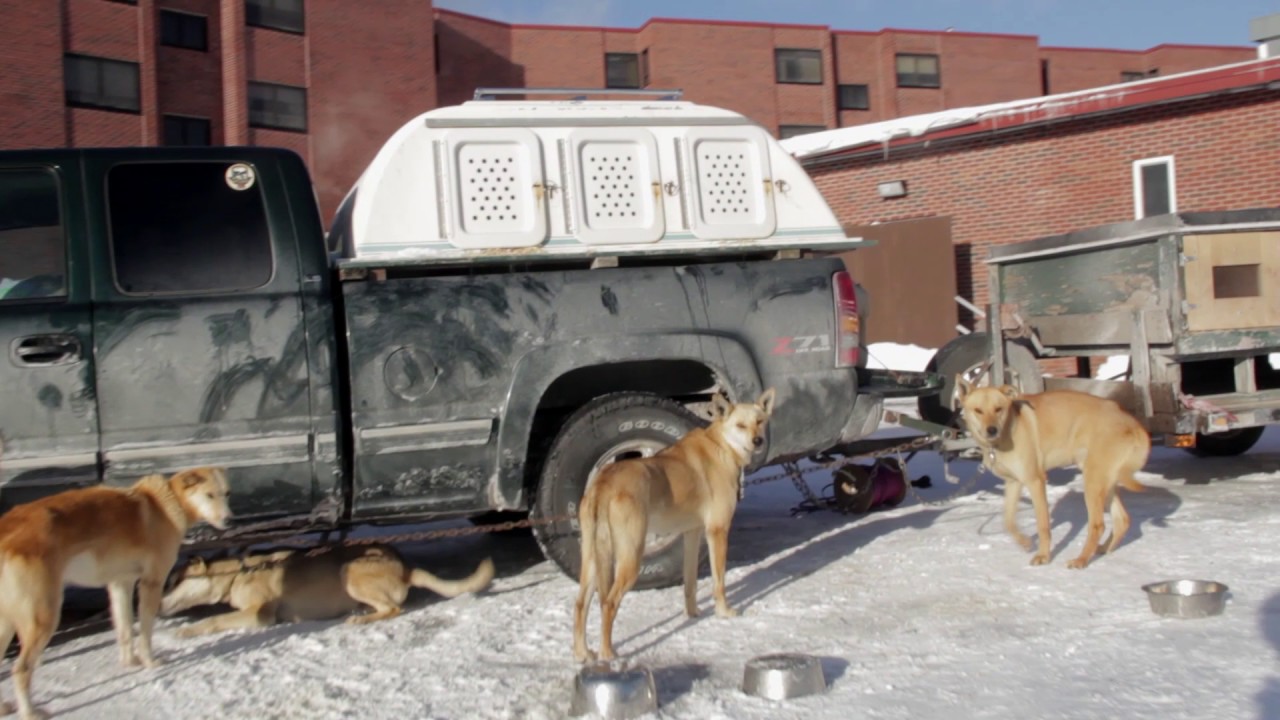 2017 CopperDog 150 YouTube