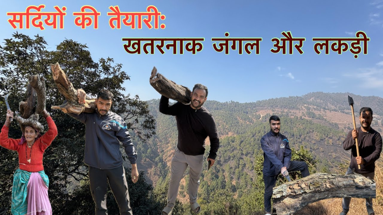 जंगल में संघर्ष करके लकड़ी लाए॥ पहाड़ की मजबूरी:-सर्दियों की तैयारी॥बारिश 🌧️ होने से पहले इंतजाम ॥