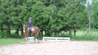 DSC 0232