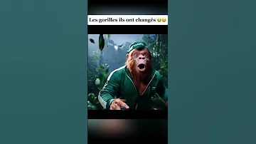 DORA L EXPLORATRICE ELLE A CHANGÉE N 5 Fake IA AI PlayboiCarti Dora Gorilles Drole Humour 