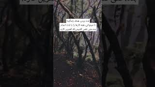 .لذت بردن، هدف زندگیهتا ميتوانی، همه کارها را با لذت انجام بده،حتی نفس کشيدن،که کمترين کاره.