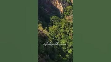 أواخر سورة التحريم بصوت القارئ الشيخ محمد