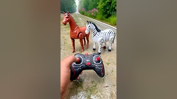 One Horse Vs Rc Zebra 🦓 Testing #animalshorts