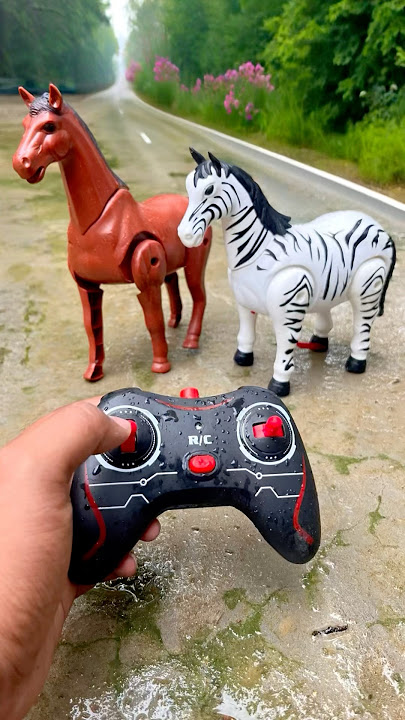 One Horse Vs Rc Zebra 🦓 Testing #animalshorts