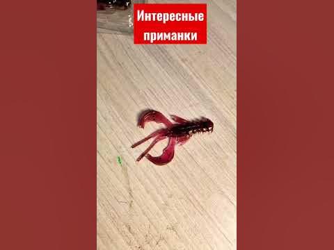 интересные рачки от Крейзи фиш #рыбалка #crazyfish #спининг #fishing # ...
