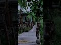 استوري موسيقى هادى طبيعة جميله اهات ونغمات جميله ترتاح الذهن والعقل والفكر والقلب والنفس