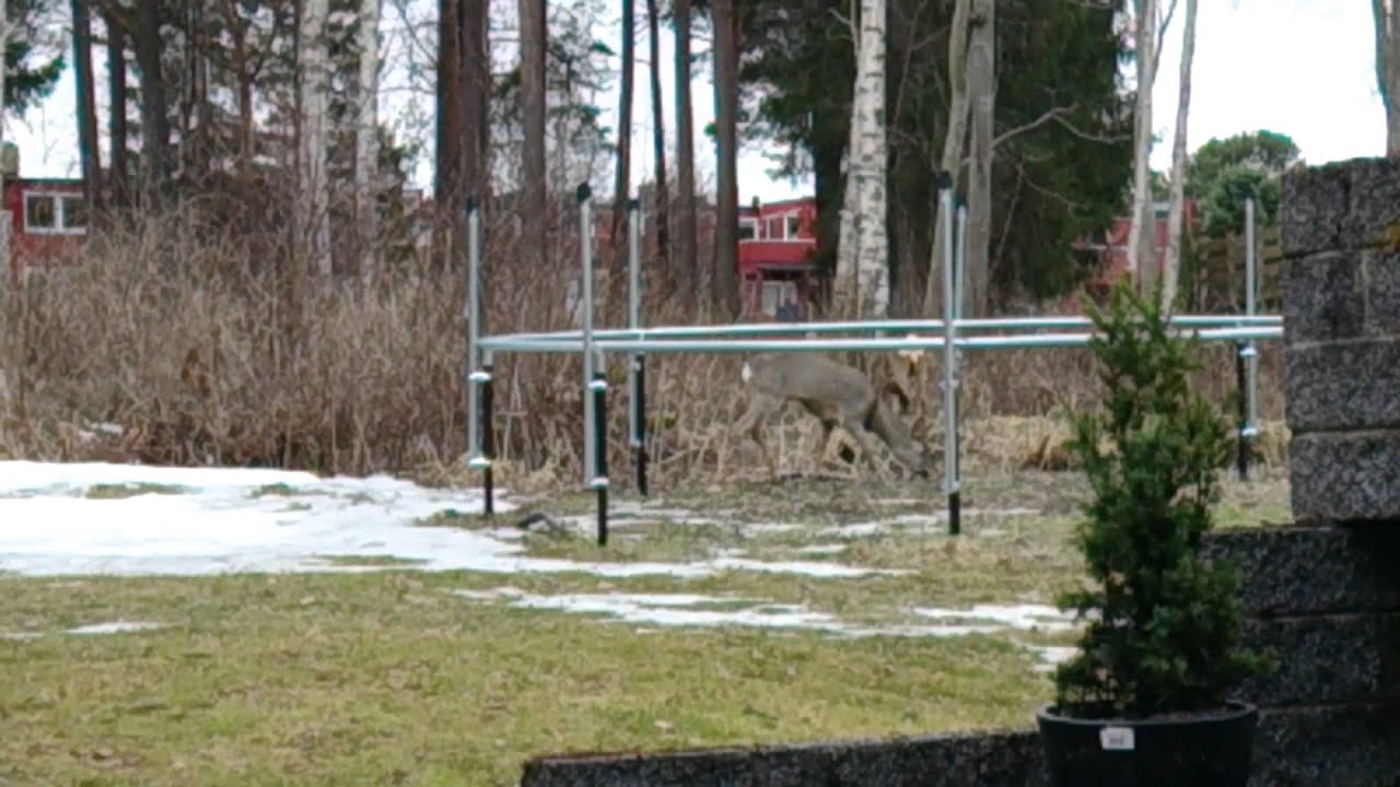 Nærkontakt av tredje grad