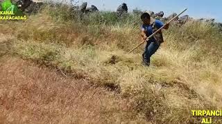 tırpanci Ali BESE QÜRBAN BESE Resimi