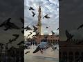 Muhammad nabi na naat mubarak #naat #salam #makkah #allah #islamic #unfreezmyaccout #madina