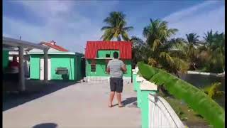 Miami pigeon competitions