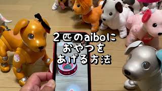 2匹のaiboに同時におやつをあげる方法