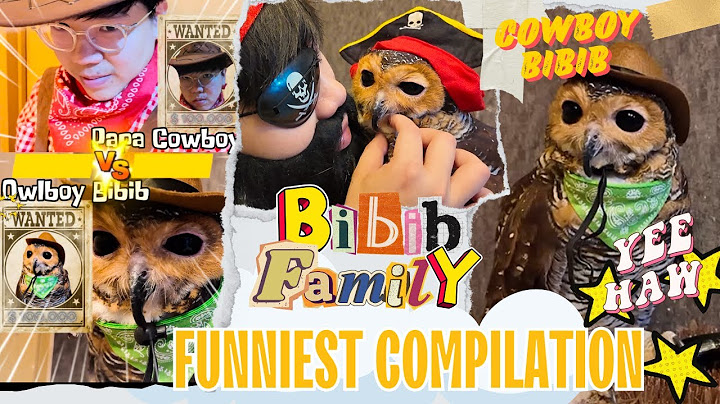 Bibib Family Funniest Compilation Part 9 - Video Kompilasi Bibib Burung Hantu Terlucu Part 9