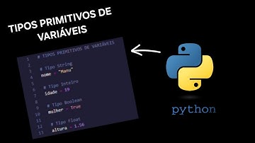 Tipos Primitivos de Variáveis - Python Básico