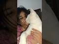 Making love with a cat🐱🐱#cutecat#pakiatanicat#foryou#viralvideo #plawashahouse