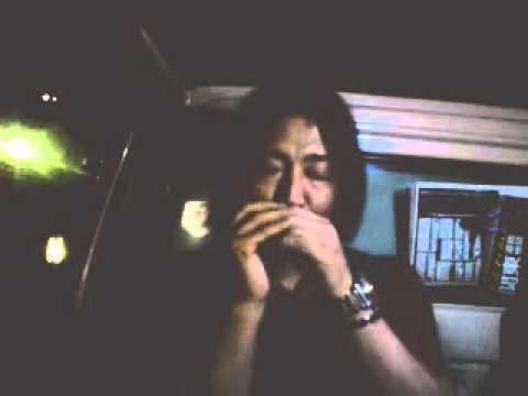 Y,M,O,cover mass,,,tomozo