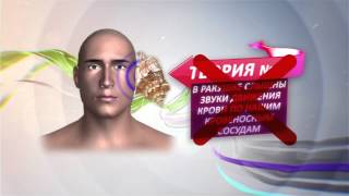 Почему шумит ракушка? Популярная наука с Анной Урманцевой.