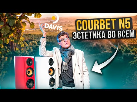 Davis Acoustics Courbet N5 — A Legend You Haven't Heard Yet | French Speakers Honest Review