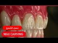 Wax carving ASMR in HD #WAXBAE #DENTURES