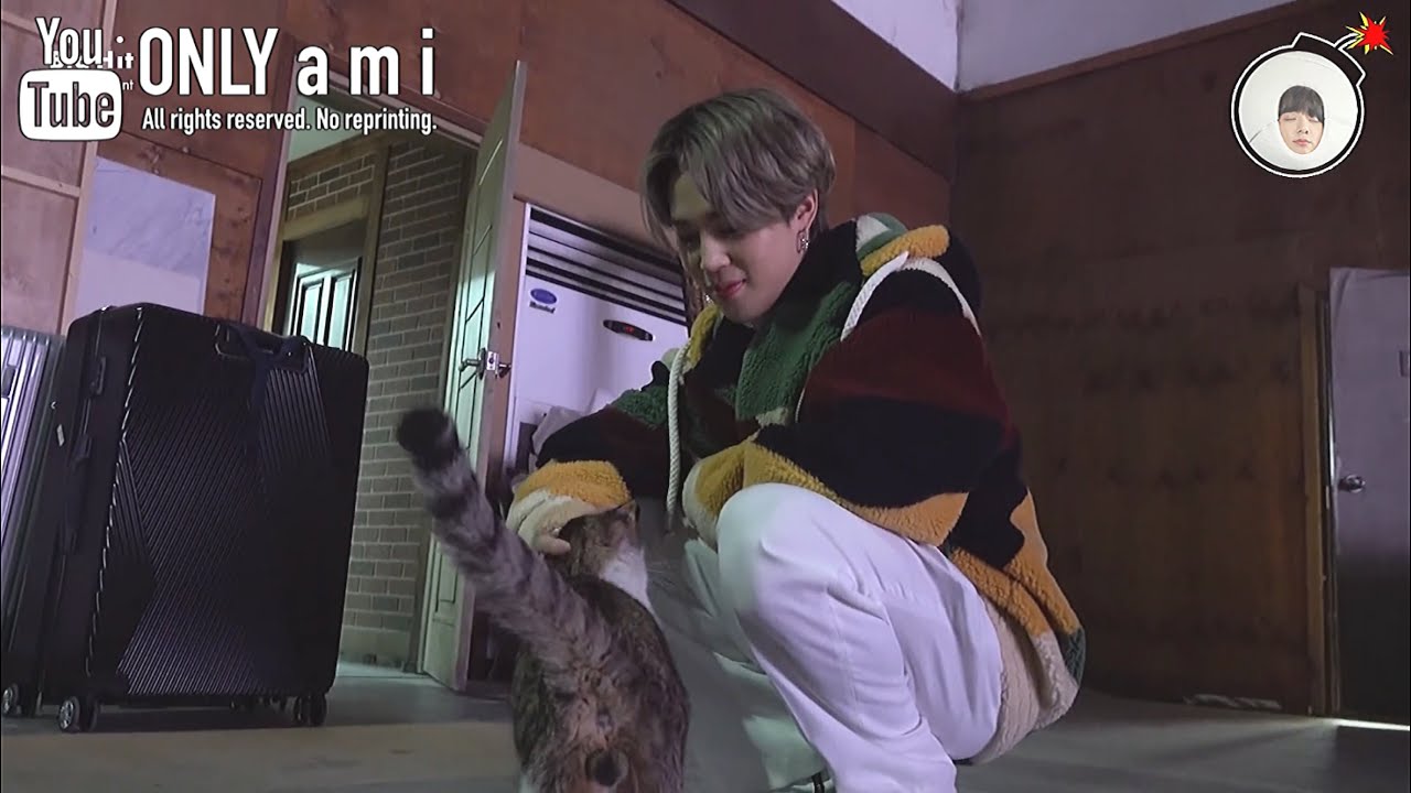 BTS日本語字幕】ジミンと猫🐈【[BANGTAN BOMB] You Have a Meow-sitor