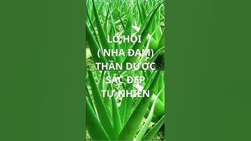 CÂY THUỐC NAM #chamsocsuckhoechudong #sucsongtre #yeucuocsong #phunu#nhanhieutruongton  #tintuc