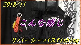 ～ ぱんちのウェーディング装備品の紹介動画です～