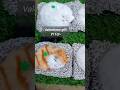 New Valentines gift | അമർത്തിയാൽ കരയുന്ന പൂച്ചക്കുട്ടികൾ #shorts #trending #valentinesday #gift