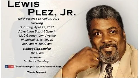 Video 9714951: abyssinians live