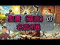 聖書(箴言)の名言9選をクリスチャンがご紹介【人生が変わる】
