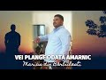 Marius din Bărbulesti- Vei plange odată Amarnic/ 2023