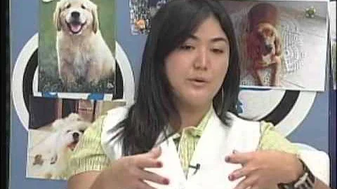 Como se pega a doença do carrapato em humanos?