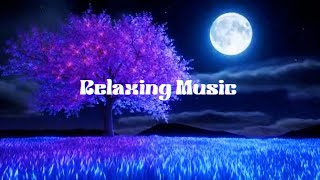 30 Minutes of Relaxing Music | Neutral Drift