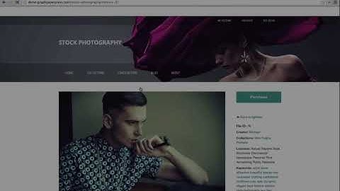 Stock Photography WordPress theme