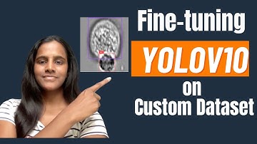 Fine-Tuning YOLOv10 for Object Detection on a Custom Dataset #yolo #finetuning
