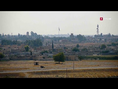 #ახალიკვირა რთული გზა გადარჩენისთვის