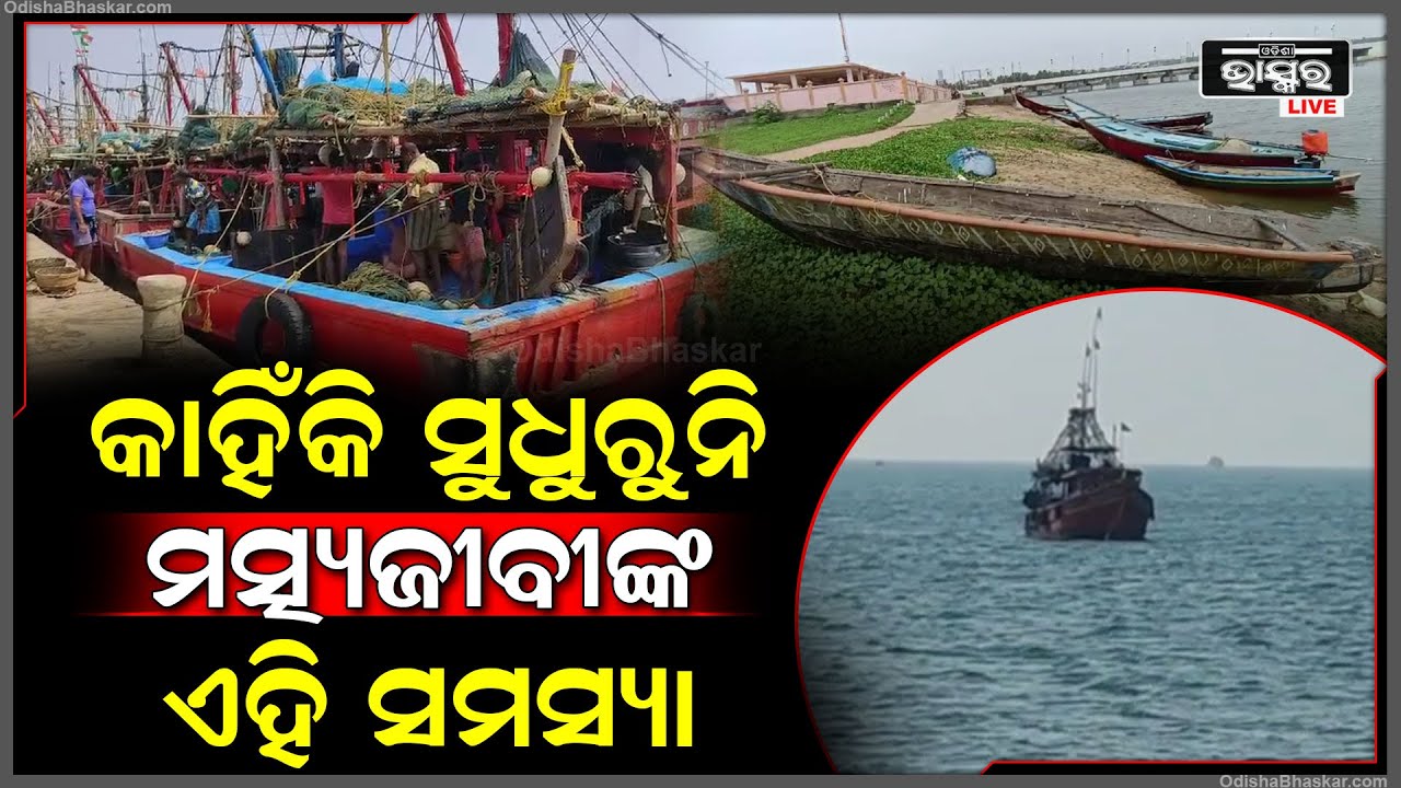 ଚିନ୍ତାରେ ମତ୍ସ୍ୟଜୀବୀ । ଏହି ସମସ୍ୟା ଏବେ ବଢି ଚାଲିଛି । ମୁଖ୍ୟମନ୍ତ୍ରୀଙ୍କୁ କଲେ ଏମିତି ଗୁହାରୀ....