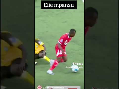 MPANZU SKILLS