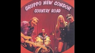 Miniatura de vídeo de "Gruppo New Condor - Non sono una signora (cover)"