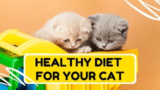 cat's diet | What is the Best DIET for a CAT? #cats #diet #pets by Info Engine - Pets 30 views 1 year ago 4 minutes, 22 seconds