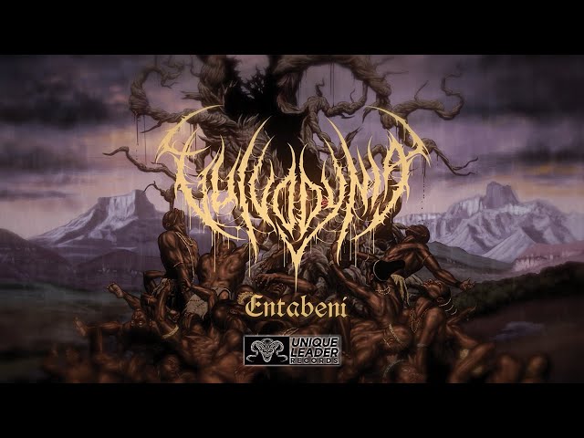Vulvodynia - Entabeni (Official Lyric Video) - YouTube
