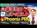 【暴落大相場カウントダウン】Bro Trade再来?シラーPERが示す暴落前夜|Phoenix PROで下落相場に備える方法 #27