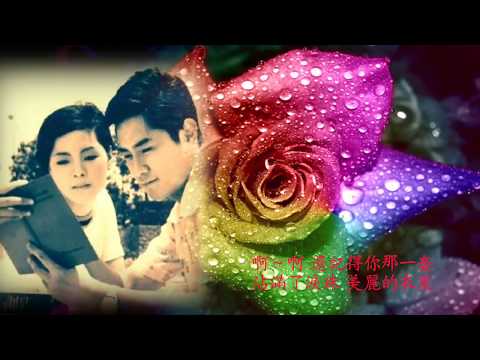 淚的衣裳 鄧麗君