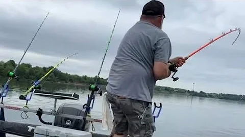 How We catch Huge Flatheads during the spawn! (Tennessee River life)