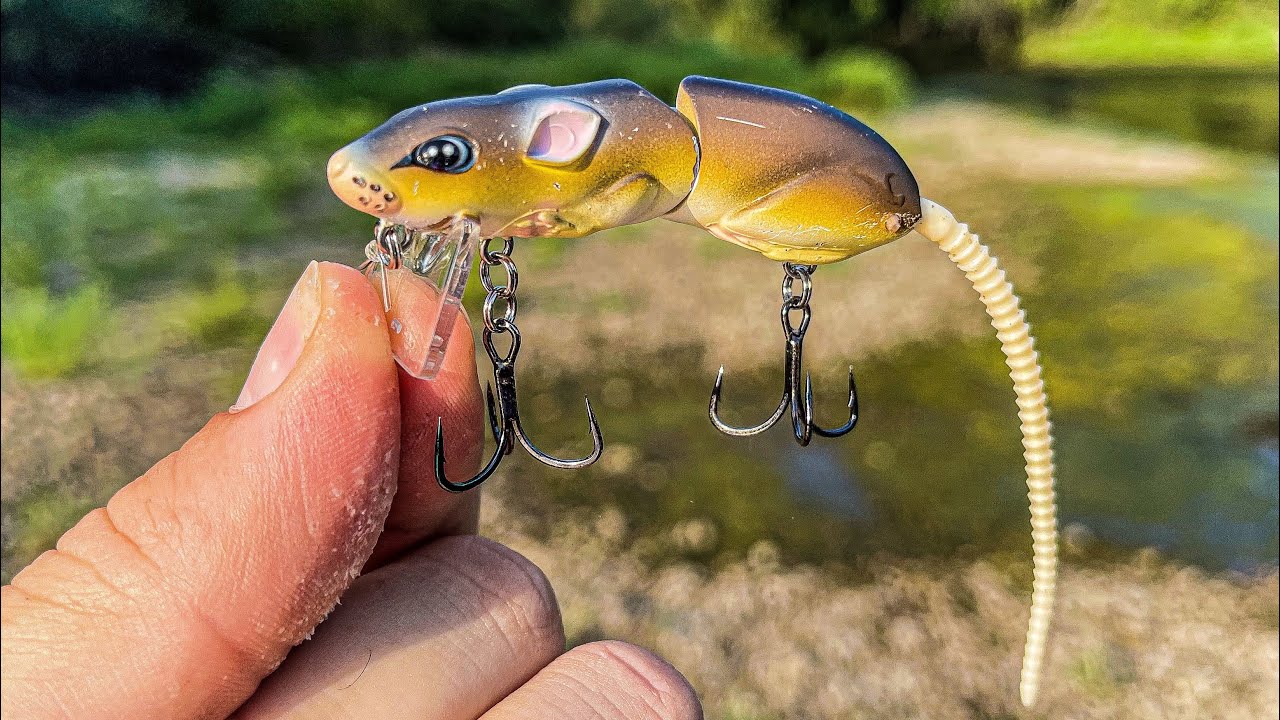 Tossing around a Mouse lure For river BEASTS! 