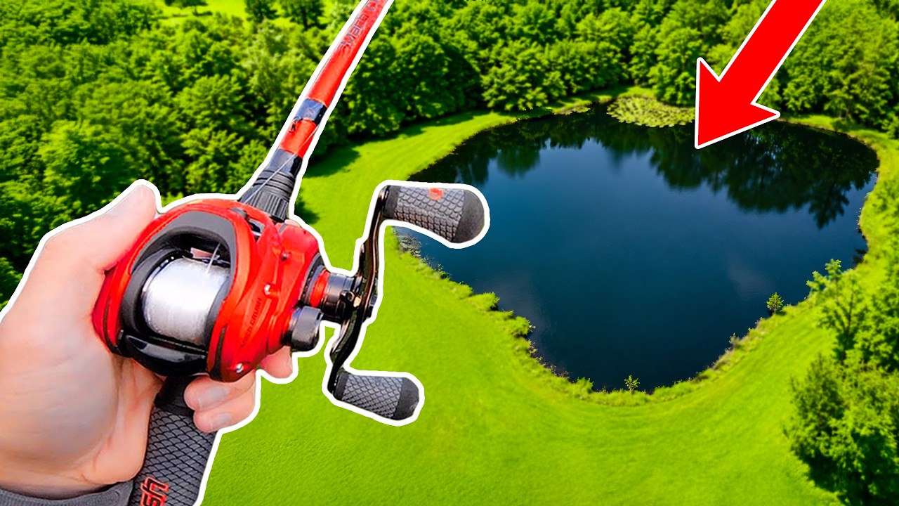 Thumbnail for I Catch a Fish, My Bait Gets BIGGER! (10lb Bass Pond)