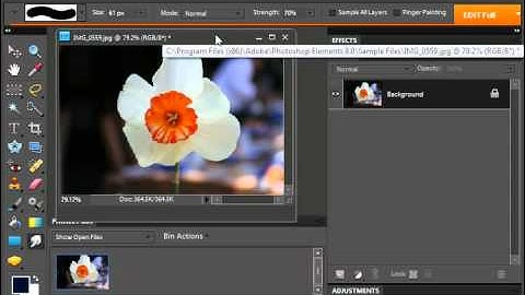 Photoshop Elements 9.0 Tutorial The Smudge Tool Adobe Training Lesson 13.5