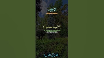 🌺القرآن الكريم 🌺سورة الكافرون ●